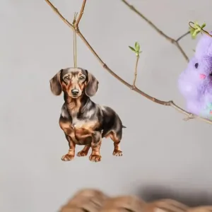 2d Cartoon Dachshund Pendant Charm Cute Dog Keychain Flat Acrylic Puppy Ornament For Car Móc Treo Đeo Thoại, Standee, Móc Khoá In Theo Yêu Cầu, Chất Liệu Mica Dày 4mm, Kích Thước 5.5 Cm, Có In Test Mẫu 2d Cartoon Dachshund Pendant Charm Cute Dog Keychain Flat Acrylic Puppy Ornament For Car Móc Treo Đeo Thoại, Standee, Móc Khoá In Theo Yêu Cầu, Chất Liệu Mica Dày 4mm, Kích Thước 5.5 Cm, Có In Test Mẫu
