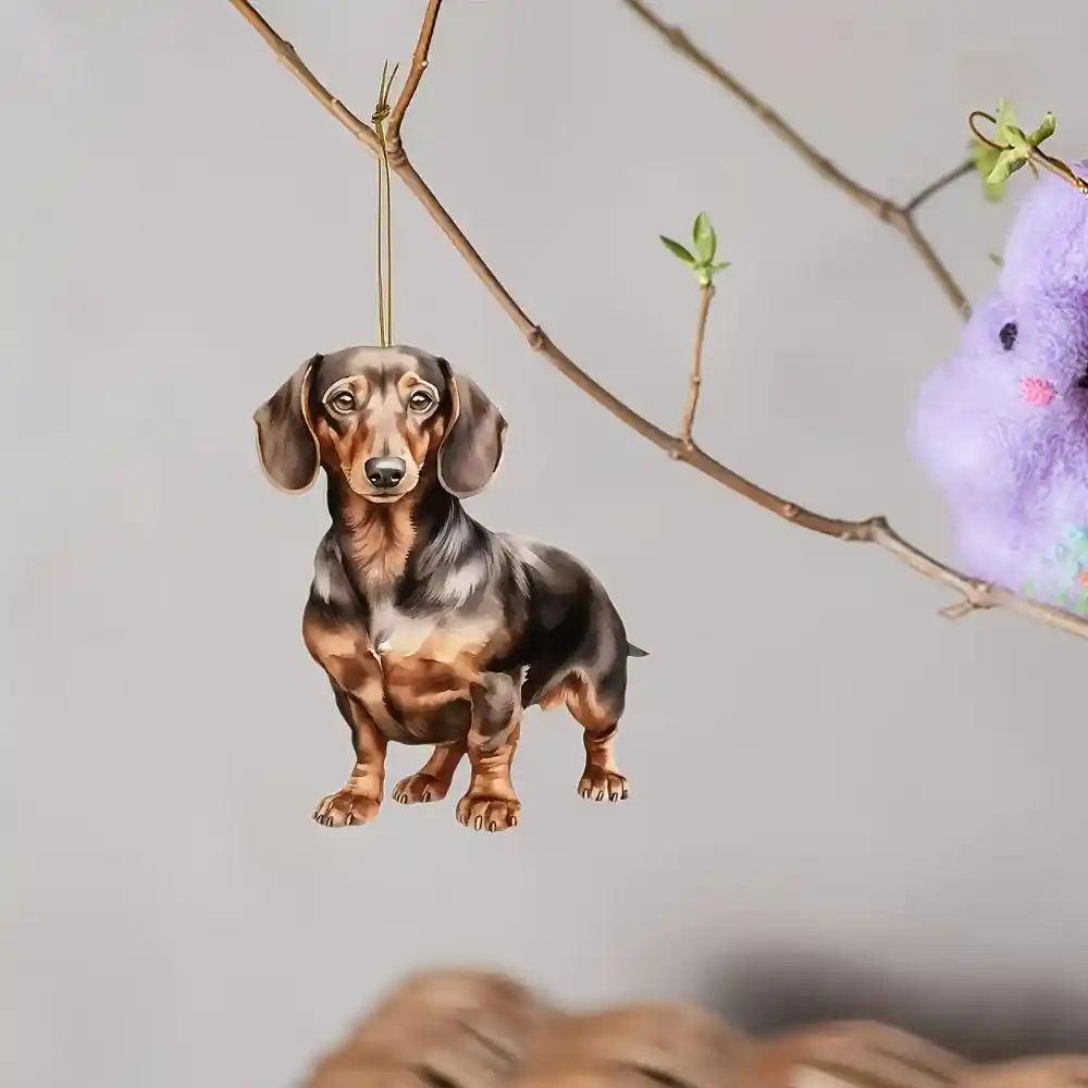 2d-cartoon-dachshund-pendant-charm-cute-var4-1789448209401-446 2d Cartoon Dachshund Pendant Charm Cute Dog Keychain Flat Acrylic Puppy Ornament For Car Móc Treo Đeo Thoại, Standee, Móc Khoá In Theo Yêu Cầu, Chất Liệu Mica Dày 4mm, Kích Thước 5.5 Cm, Có In Test Mẫu