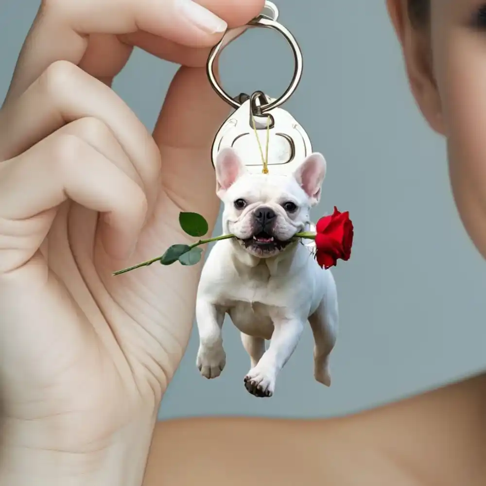 2d-french-bulldog-keychain-set-15pcs-car-var7-1789456737453-533 2d French Bulldog Keychain Set 15pcs Cartoon Puppy Pendant Flat Acrylic Ornament Hanging Móc Treo Đeo Thoại, Standee, Móc Khoá In Theo Yêu Cầu, Chất Liệu Mica Dày 4mm, Kích Thước 5.5 Cm, Có In Test Mẫu