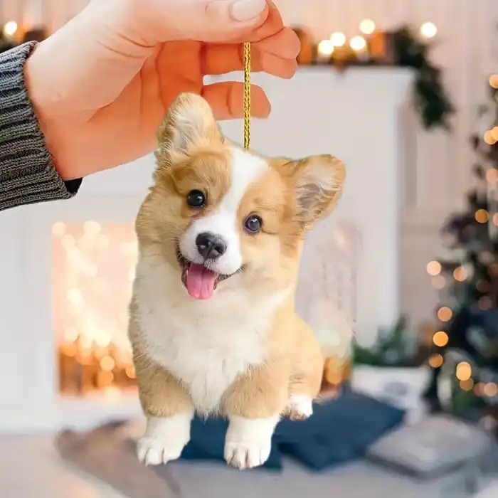 Cute Corgi Dog Acrylic Pendant Versatile Charm Puppy Keychain For Car Móc Treo Đeo Thoại, Standee, Móc Khoá In Theo Yêu Cầu, Chất Liệu Mica Dày 4mm, Kích Thước 5.5 Cm, Có In Test Mẫu