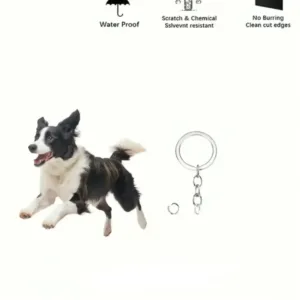 Cute Running Seated Pug Dog Keychain Versatile Charm Fashion Cartoon Puppy Acrylic Pendant Móc Treo Đeo Thoại, Standee, Móc Khoá In Theo Yêu Cầu, Chất Liệu Mica Dày 4mm, Kích Thước 5.5 Cm, Có In Test Mẫu Cute Running Seated Pug Dog Keychain Versatile Charm Fashion Cartoon Puppy Acrylic Pendant Móc Treo Đeo Thoại, Standee, Móc Khoá In Theo Yêu Cầu, Chất Liệu Mica Dày 4mm, Kích Thước 5.5 Cm, Có In Test Mẫu