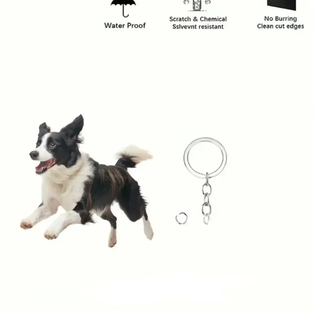 cute-running-seated-pug-dog-keychain-ver-var3-1789457765774-800 Cute Running Seated Pug Dog Keychain Versatile Charm Fashion Cartoon Puppy Acrylic Pendant Móc Treo Đeo Thoại, Standee, Móc Khoá In Theo Yêu Cầu, Chất Liệu Mica Dày 4mm, Kích Thước 5.5 Cm, Có In Test Mẫu