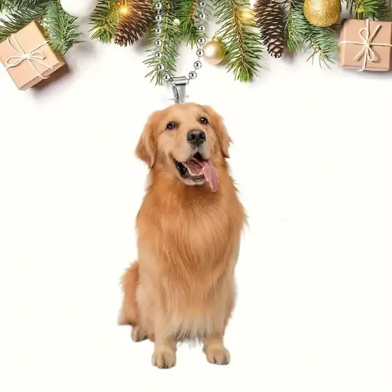 Golden Retriever Versatile Car Mirror & Keychain Charm Backpacks Acrylic Dog Hanging Ornament Móc Treo Đeo Thoại, Standee, Móc Khoá In Theo Yêu Cầu, Chất Liệu Mica Dày 4mm, Kích Thước 5.5 Cm, Có In Test Mẫu